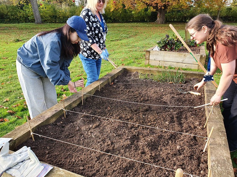 students preparing the community garden beds.